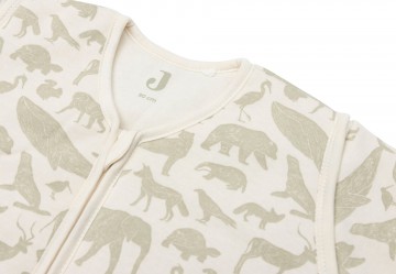 016 541 670438717329375970detail 0003