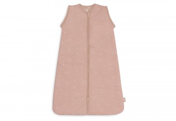 016 541 67101 8717329384361detail 0002