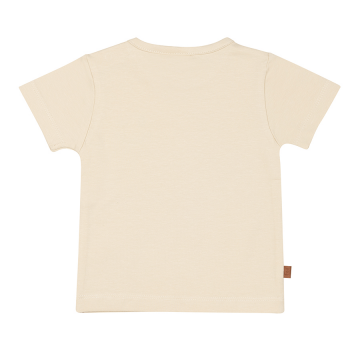 25025005 sandshell 2