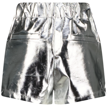 Aw24kgn46001rainysilver metallicback