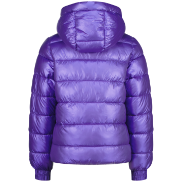 Aw25kg100004tiannaviola purpleback