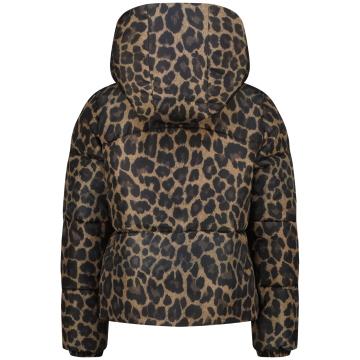 Aw25kg100005tigellemulticolor brownback