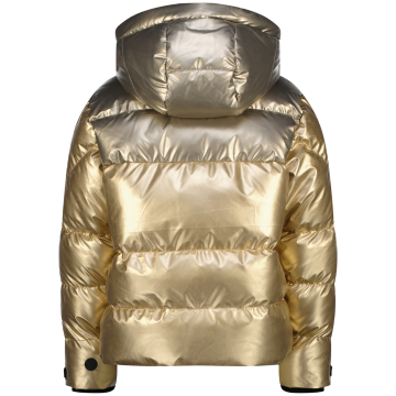 Aw25kg100009tolygold metallicback