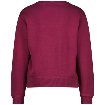 Aw25kg340190nironeraspberry redback