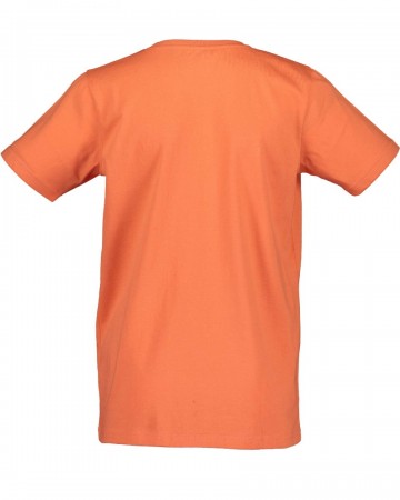 Blue sevenfruhjahrsommer 2022234602745 x2