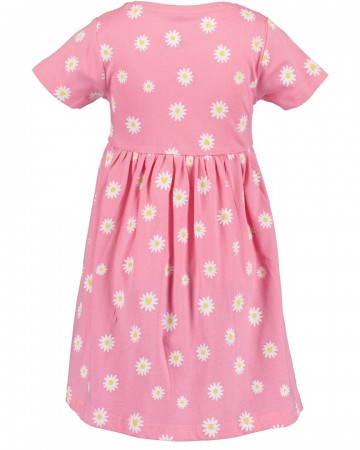 Blue sevenfruhjahrsommer 2023410721630 x2