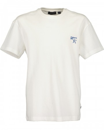 Blue sevenfruhjahrsommer 2025010602870