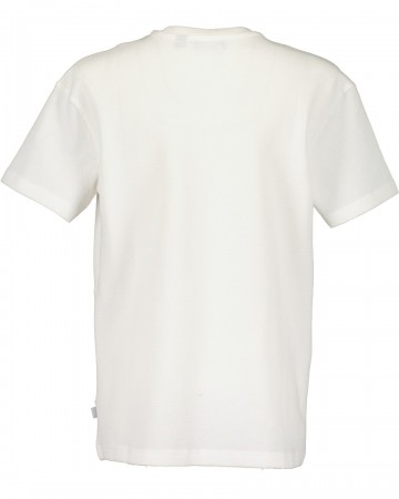 Blue sevenfruhjahrsommer 20250106028702