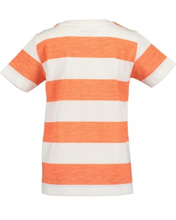 Blue sevenfruhjahrsommer 20252338023782