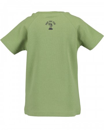 Blue sevenfruhjahrsommer 20257508023792