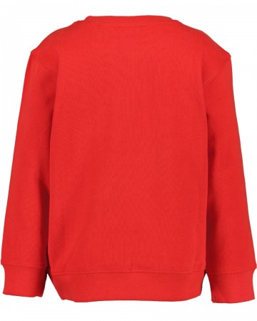 Blue sevenherbstwinter 2023316864711 x2