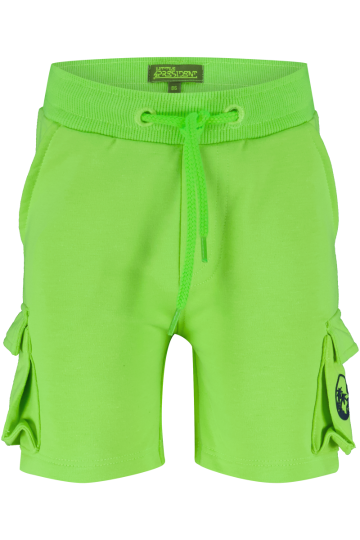 Casper green gecko 1 0