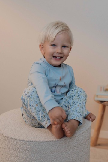 Cl24296038   cl24296039   cl24296040   cl24296041   two piece pyjamas forest adventures 1