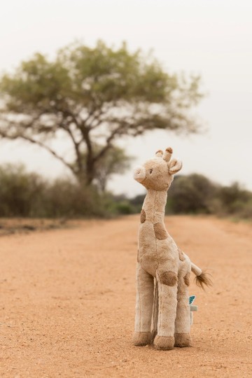 Cuddle giraffe yellow ld8354 2   shopify