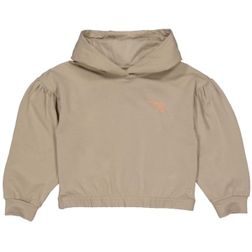 Dinteqw241 1009 darksand 15324