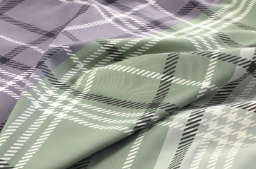 Felix green   zoom view 2