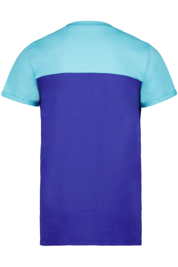 Glenn clematis blue1