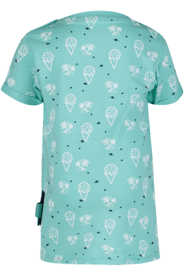 Joey ice cream aop 2