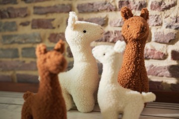 Jollein2021zomer11661