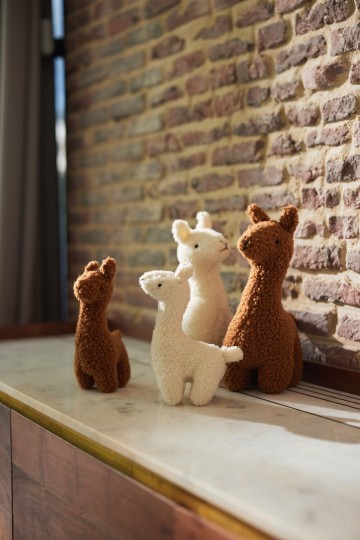 Jollein2021zomer11664