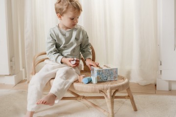 Ld7247   shape sorter   forest friends 7