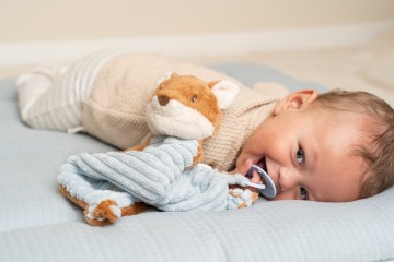 Ld8902   cuddle cloth fox   forest friends 1