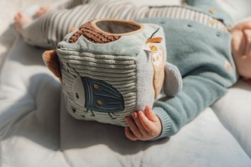 Ld8909   soft activity cube   forest friends 3