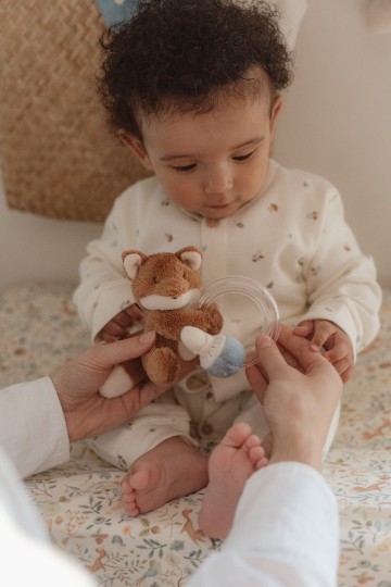 Ld8914   ratte ring fox   forest friends 4