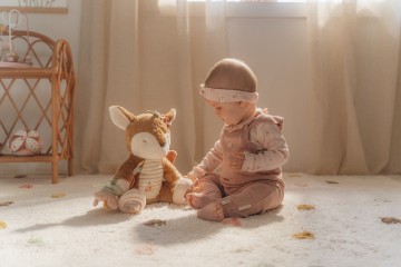 Ld9018   activity deer  fairy garden 1