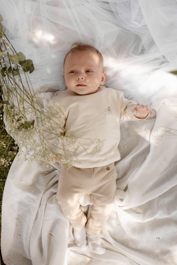 Lnbs26max 1018 310 15