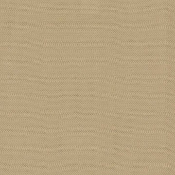 Ls261bert 1017 309 21