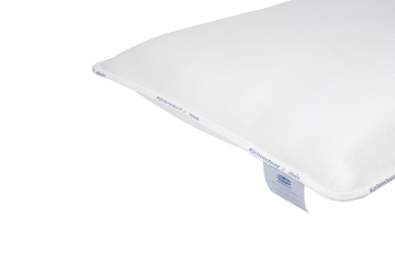 Mijneerstekussen2detailimg9268