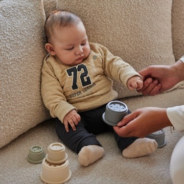 O56595 35 81 pebble 137968