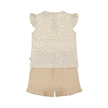 P54386 31 83 beige 128172