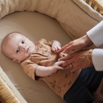 P54590 31 85 brown 127825