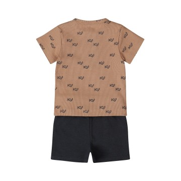 P54590 31 85 brown 128306