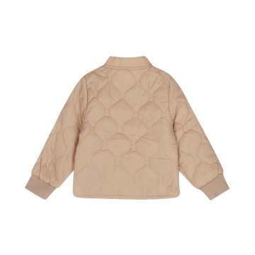 P54625 35 85 brown 131629