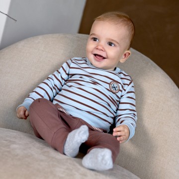 Q52568 35 85 brown 118408