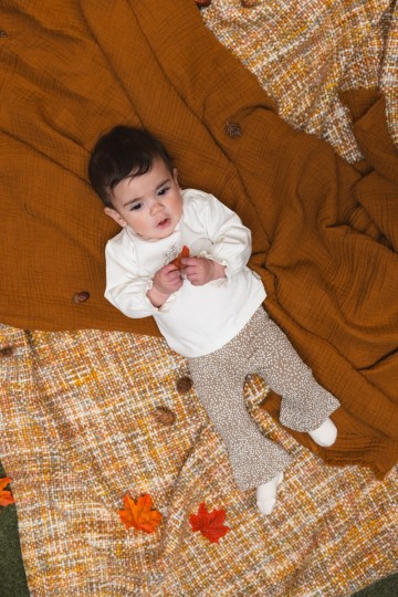 Qnbw25kris 1909 aopsanddot 23056