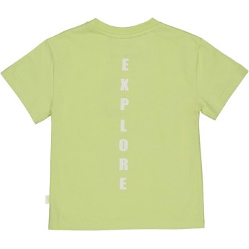 Qs262damon 6004 126 50