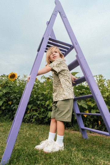 Qs262deen 1916 194 8 0