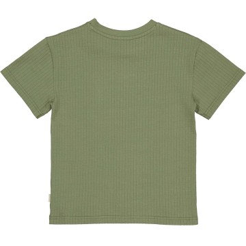 Qs262delano 6007 128 54