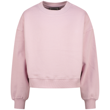 R126kg340097sifrawinsome orchidfront