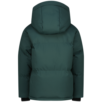 R225kb100013tiroforest greenback