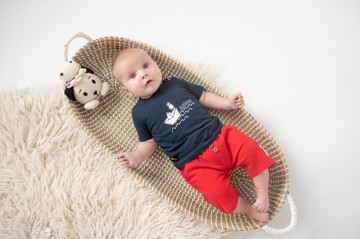 Sabrina serraarens studio   frogs  dogs 2 32