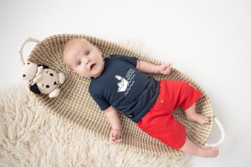 Sabrina serraarens studio   frogs  dogs 2 33