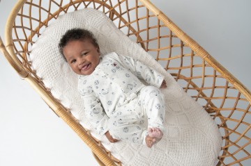 Sabrina serraarens studio   frogs  dogs 3 4