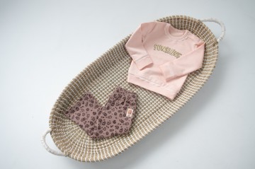 Sabrina serraarens studio   frogs  dogs setjes 4