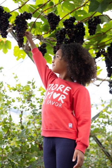 Sfeer s25j1 91600417 92200457