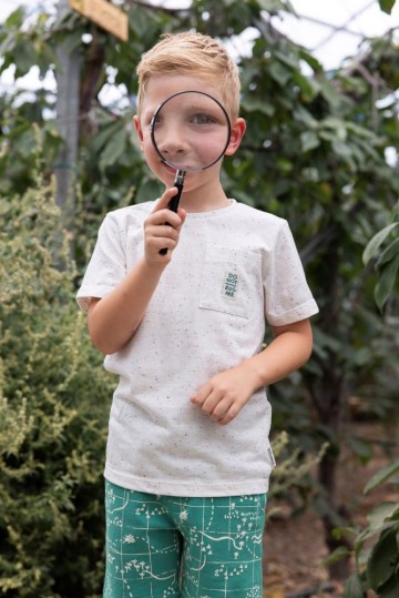 Sfeer s25s2 71700474 72100167 2